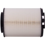 Order PRONTO FILTERS - PA5556 - Air Filter For Your Vehicle