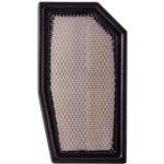 Order PRONTO FILTERS - PA5565 - Filtre à air For Your Vehicle