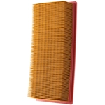 Order PRONTO FILTERS - PA5569 - Air Filter For Your Vehicle