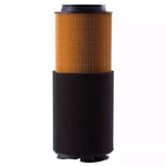 Order PRONTO FILTERS - PA5658 - Air Filter For Your Vehicle