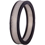 Order PRONTO FILTERS - PA59 - Air Filter For Your Vehicle