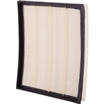 Order PRONTO FILTERS - PA5900 - Air Filter For Your Vehicle