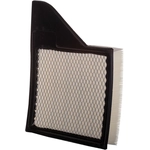 Order PRONTO FILTERS - PA5907 - Air Filter For Your Vehicle