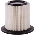 Order PRONTO FILTERS - PA6067 - Air Filter For Your Vehicle