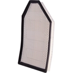 Order PRONTO FILTERS - PA6167 - Engine Air Filter For Your Vehicle