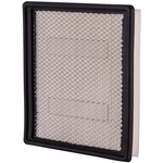 Order PRONTO FILTERS - PA8171 - Engine Air Filter For Your Vehicle