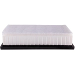 Order PRONTO FILTERS - PA8172 - Engine Air Filter For Your Vehicle