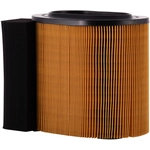 Order PRONTO FILTERS - PA8219 - Engine Filtre à air For Your Vehicle