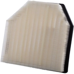Order PRONTO FILTERS - PA99068 - Air Filter For Your Vehicle
