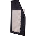 Order PRONTO FILTERS - PA99111 - Air Filter For Your Vehicle