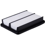 Order PRONTO FILTERS - PA99171 - Air Filter For Your Vehicle