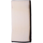 Order PRONTO FILTERS - PA99385 - Engine Air Filter For Your Vehicle