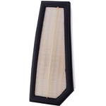 Order PRONTO FILTERS - PA9949 - Air Filter For Your Vehicle