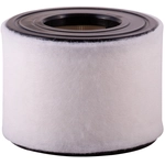 Order PRONTO FILTERS - PA99507 - Air Filter For Your Vehicle