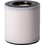 Order PRONTO FILTERS - PA99524 - Air Filter For Your Vehicle