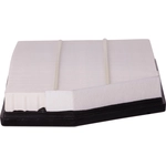 Order PRONTO FILTERS - PA99604 - Air Filter For Your Vehicle