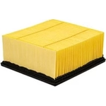 Order PROTEC AUTOPARTS - PXA46930 - Air Filter For Your Vehicle