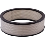 Order PUREZONE OIL & AIR FILTERS - 9-42096 - Air Filter For Your Vehicle