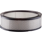 Order PUREZONE OIL & AIR FILTERS - 9-42098 - Air Filter For Your Vehicle
