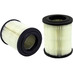 Order PUREZONE OIL & AIR FILTERS - 9-42188 - Air Filter For Your Vehicle