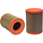 Order PUREZONE OIL & AIR FILTERS - 9-42729 - Air Filter For Your Vehicle