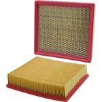 Order PUREZONE OIL & AIR FILTERS - 9-42846 - Air Filter For Your Vehicle