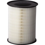 Order PUREZONE OIL & AIR FILTERS - 9-49017 - Air Filter For Your Vehicle