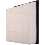 Order PUREZONE OIL & AIR FILTERS - 9WA10831 - Air Filter For Your Vehicle