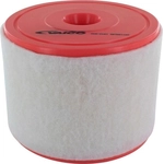 Order Air Filter by VAICO - V10-2187 For Your Vehicle