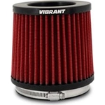 Order Air Filter by VIBRANT PERFORMANCE - 10925 For Your Vehicle
