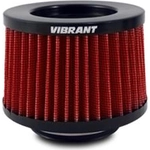 Order Air Filter by VIBRANT PERFORMANCE - 10931 For Your Vehicle
