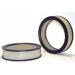 Order Air Filter by WIX - 42062 For Your Vehicle