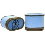 Order Air Filter by WIX - 42813 For Your Vehicle