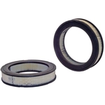 Order Air Filter by WIX - 42906 For Your Vehicle