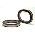Order Air Filter by WIX - 46019 For Your Vehicle