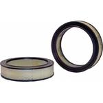 Order Air Filter by WIX - 46042 For Your Vehicle