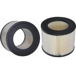 Order Air Filter by WIX - 46202 For Your Vehicle