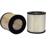 Order Air Filter by WIX - 46225 For Your Vehicle