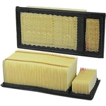 Order WIX - 49902FR - Air Filter For Your Vehicle
