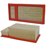 Order WIX - 49902FR - Air Filter For Your Vehicle