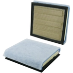 Order WIX - WA10905 - Air Filter For Your Vehicle