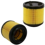 Order WIX - WA11099 - Air Filter For Your Vehicle