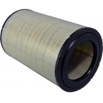 Order Air Filter by WIX - WA10019 For Your Vehicle