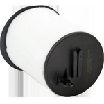 Order Air Filter by WIX - WA10975 For Your Vehicle