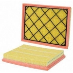 Order Air Filter by WIX - WA10981 For Your Vehicle