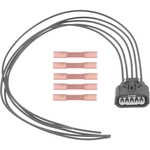 Order BLUE STREAK (HYGRADE MOTOR) - S2880 - Electrical Connector For Your Vehicle