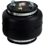 Order Air Helper Spring by AIR LIFT - 50252 For Your Vehicle