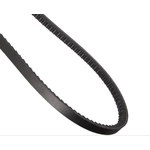 Order CONTINENTAL - 13465 - Accessory Drive Belt - Automotive V- Belt For Your Vehicle