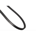 Order CONTINENTAL - 15572 - Accessory Drive Belt - Automotive V-Belt For Your Vehicle