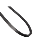 Order CONTINENTAL - 15305 - Accessory Drive Belt - Automotive V- Belt For Your Vehicle